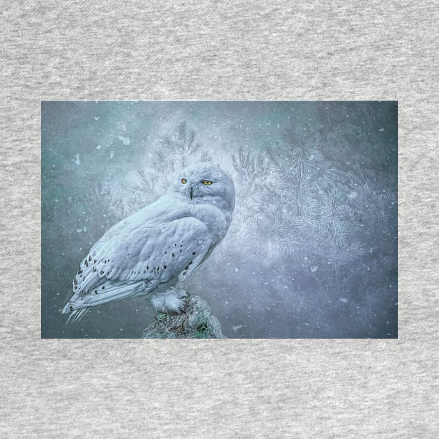 Snowy Owl in winter by Tarrby